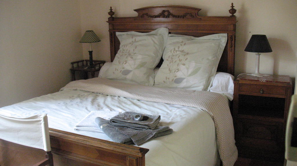La Mesnagerie Bed and Breakfast Jarzé Rum bild