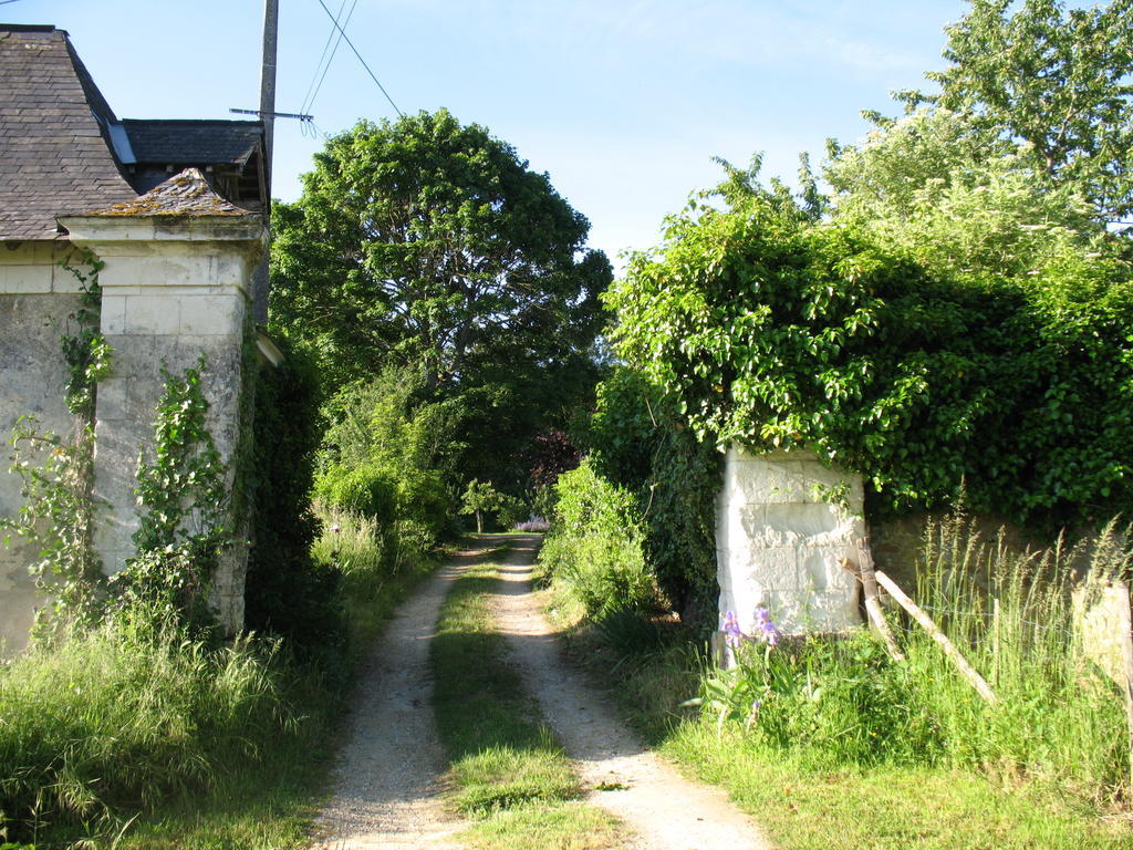 La Mesnagerie Bed and Breakfast Jarzé Exteriör bild