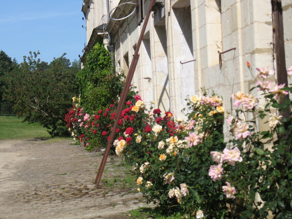 La Mesnagerie Bed and Breakfast Jarzé Rum bild