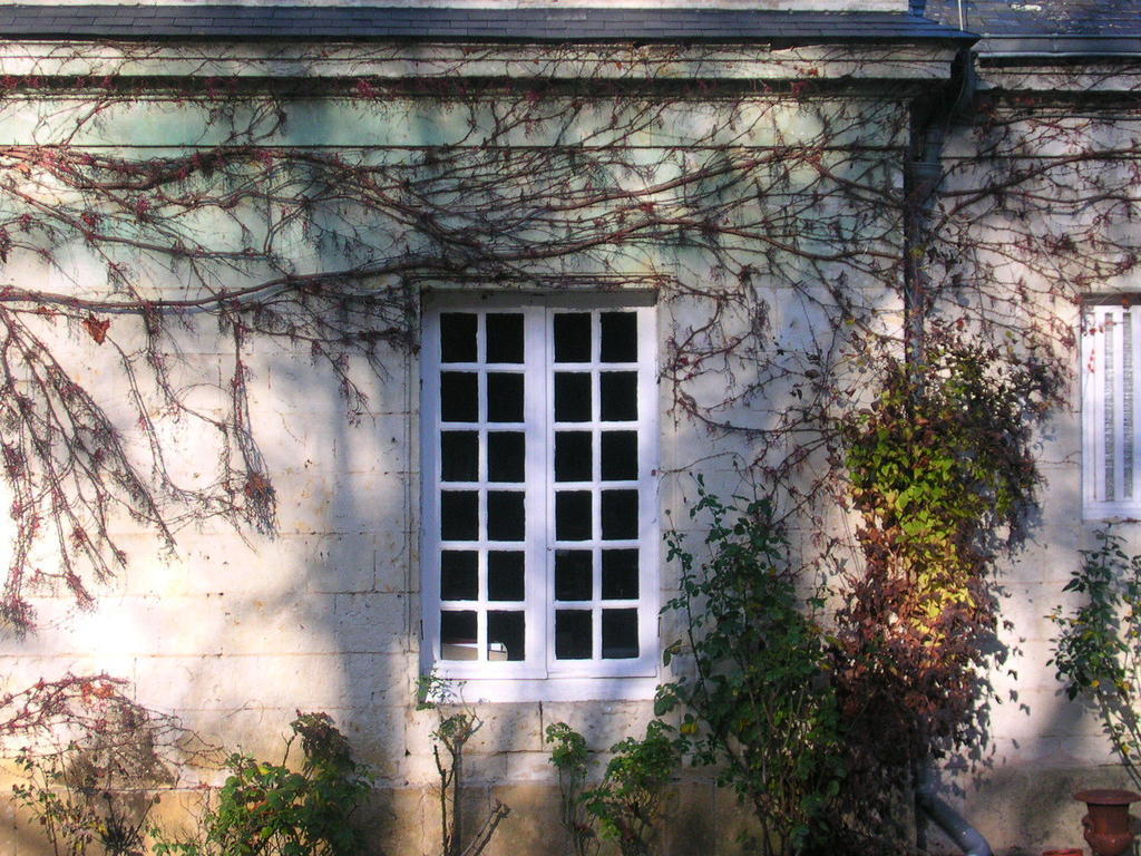 La Mesnagerie Bed and Breakfast Jarzé Exteriör bild